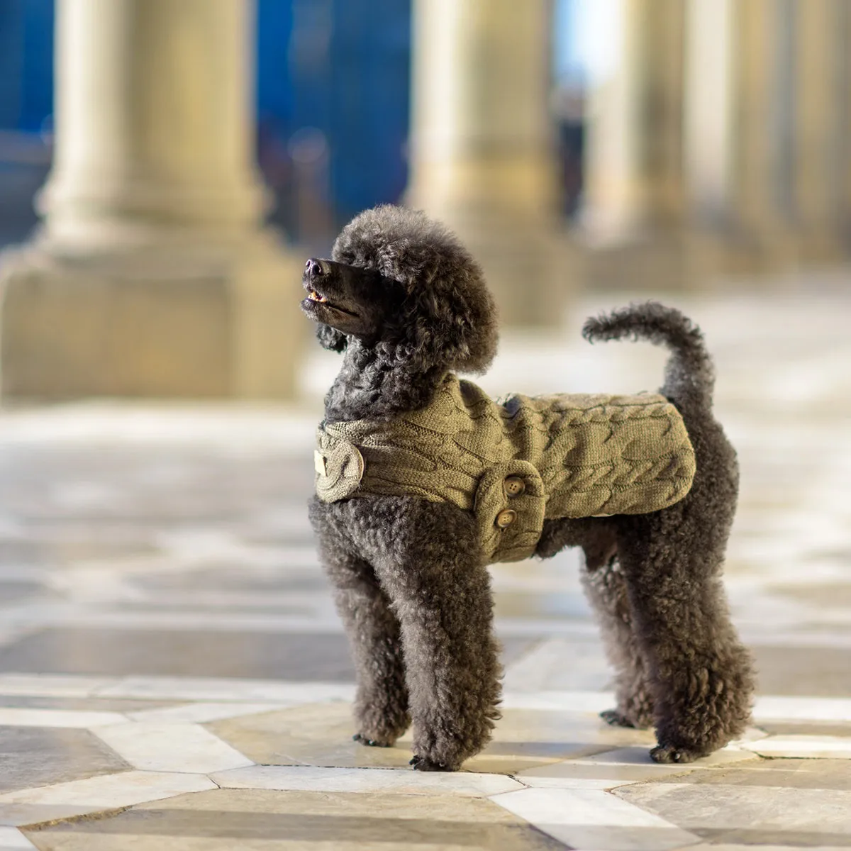 Bespoke Reversible Dog Coat/Raincoat Knit