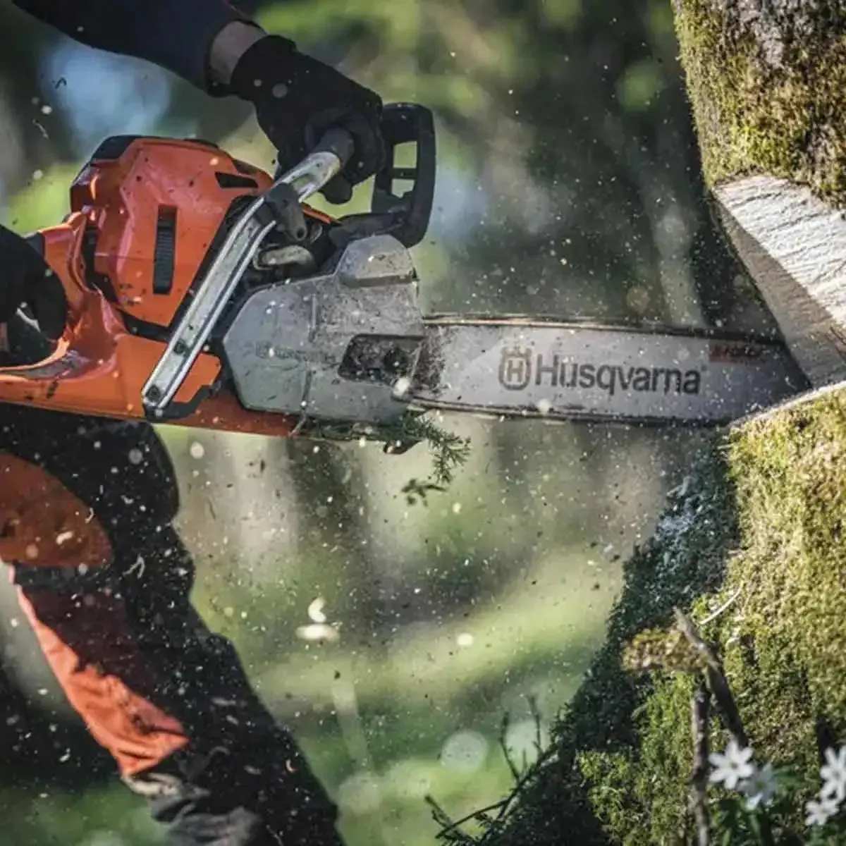 Husqvarna 572XP 24" 50GA Gas Chainsaw