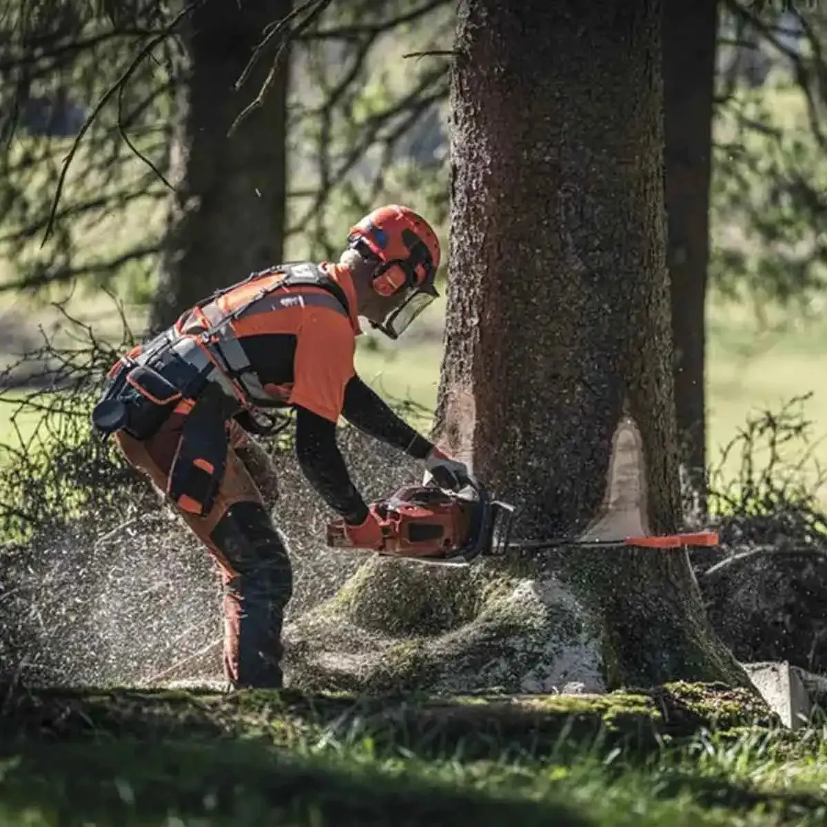 Husqvarna 572XP 24" 50GA Gas Chainsaw