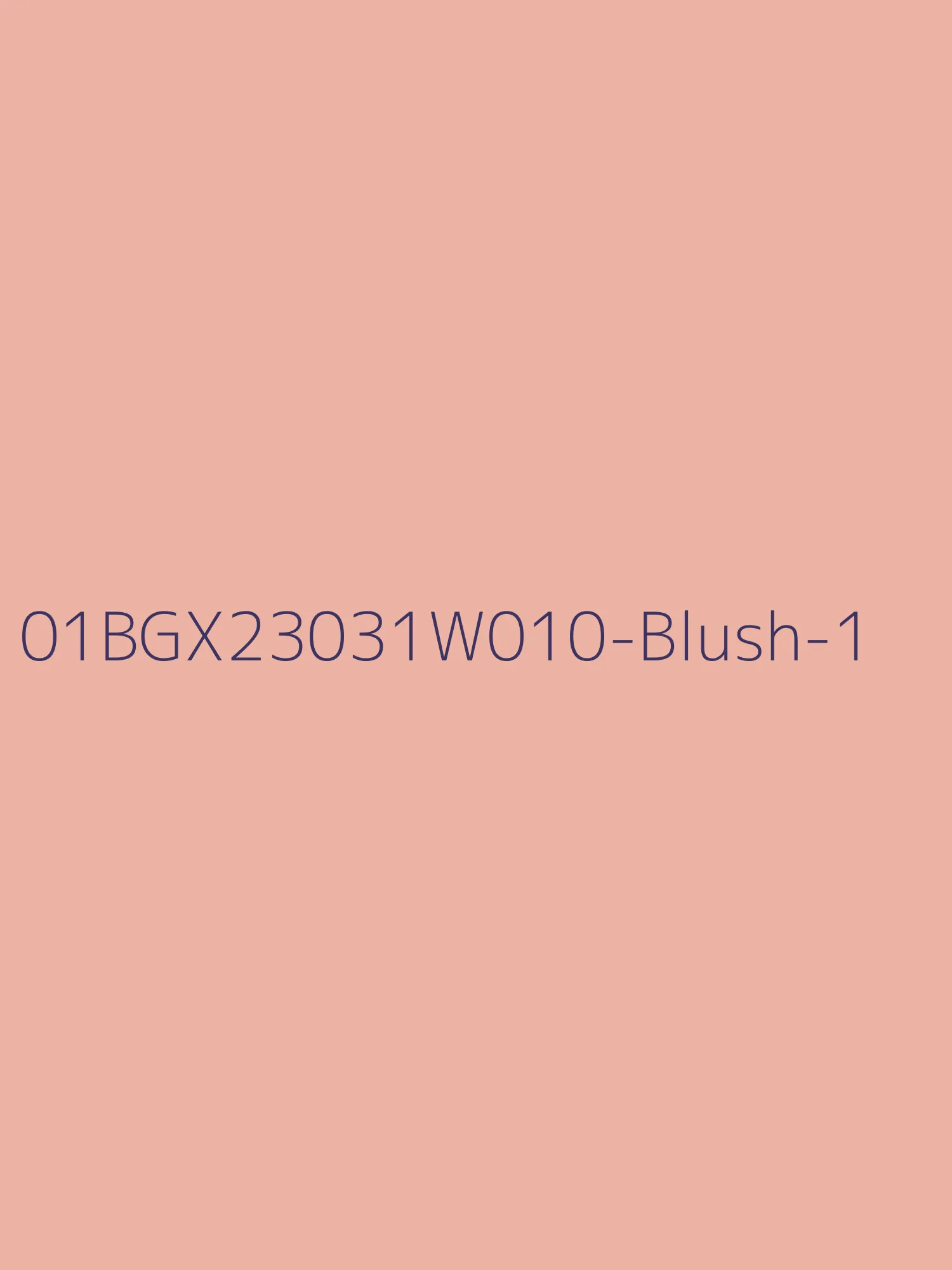 LBLSPU-01BGX23031W010