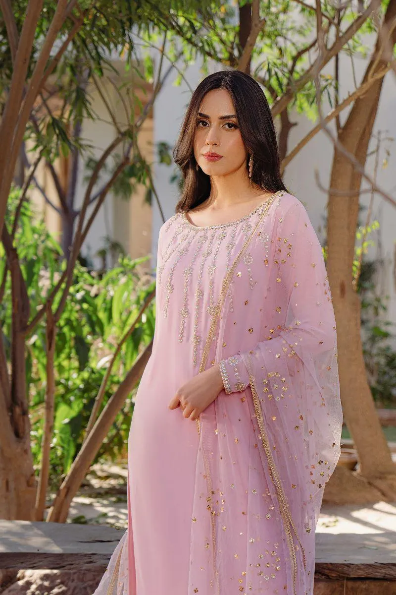 Natasha Kamal - Eve - Powder Pink - Georgette - 3 Piece