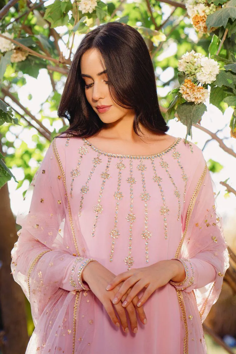 Natasha Kamal - Eve - Powder Pink - Georgette - 3 Piece