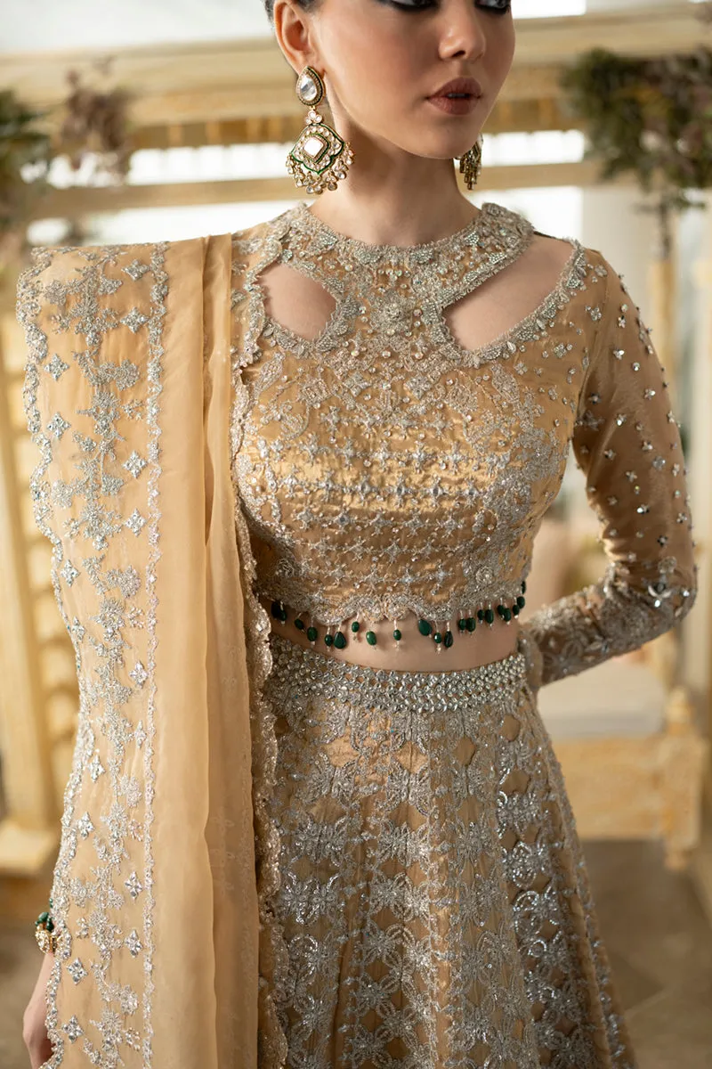 Qalamkar Dilnaaz Luxury Wedding Formals – DN-01 IMAAN