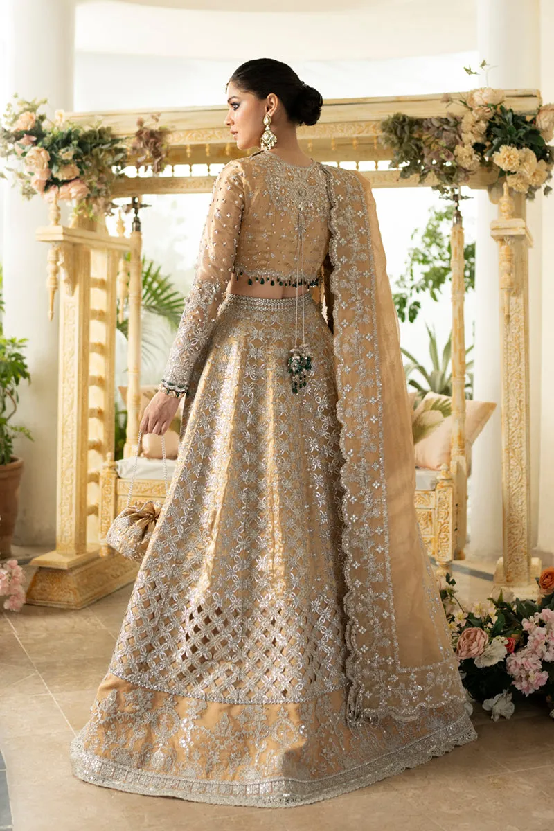 Qalamkar Dilnaaz Luxury Wedding Formals – DN-01 IMAAN