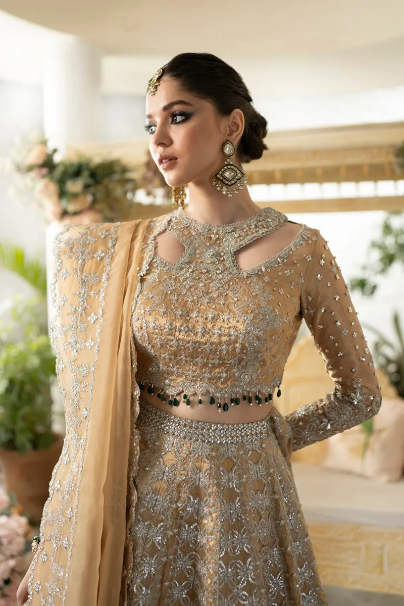 Qalamkar Dilnaaz Luxury Wedding Formals – DN-01 IMAAN