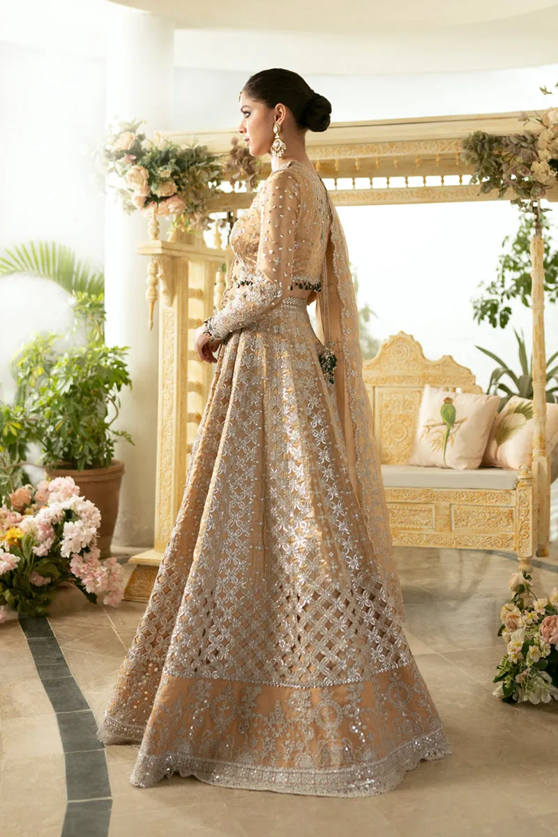 Qalamkar Dilnaaz Luxury Wedding Formals – DN-01 IMAAN