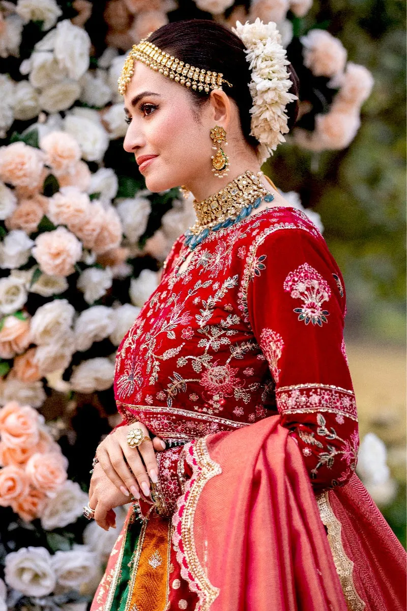 Qalamkar Shadmani Wedding Formals 2022 – FW-01