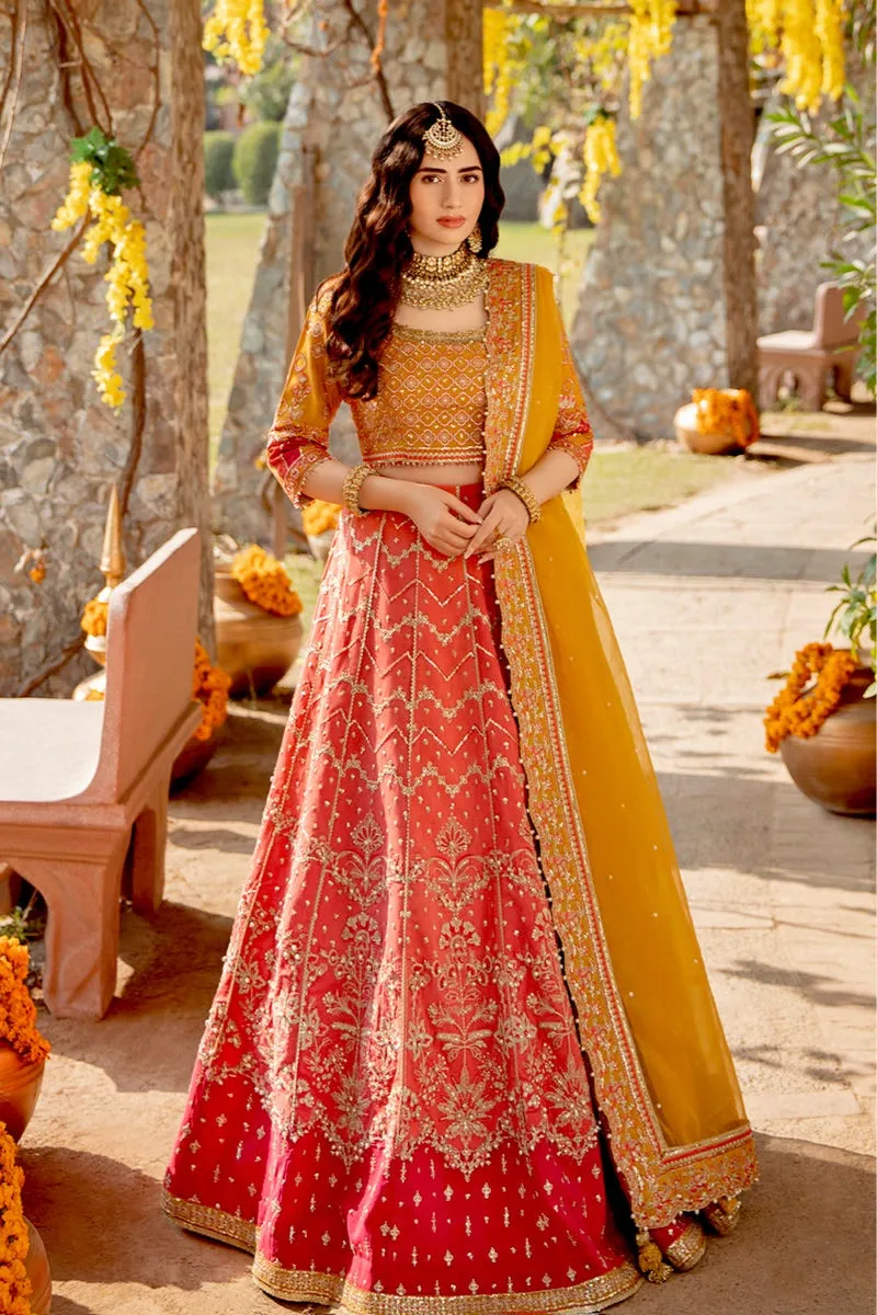 Qalamkar Shadmani Wedding Formals – FW-05